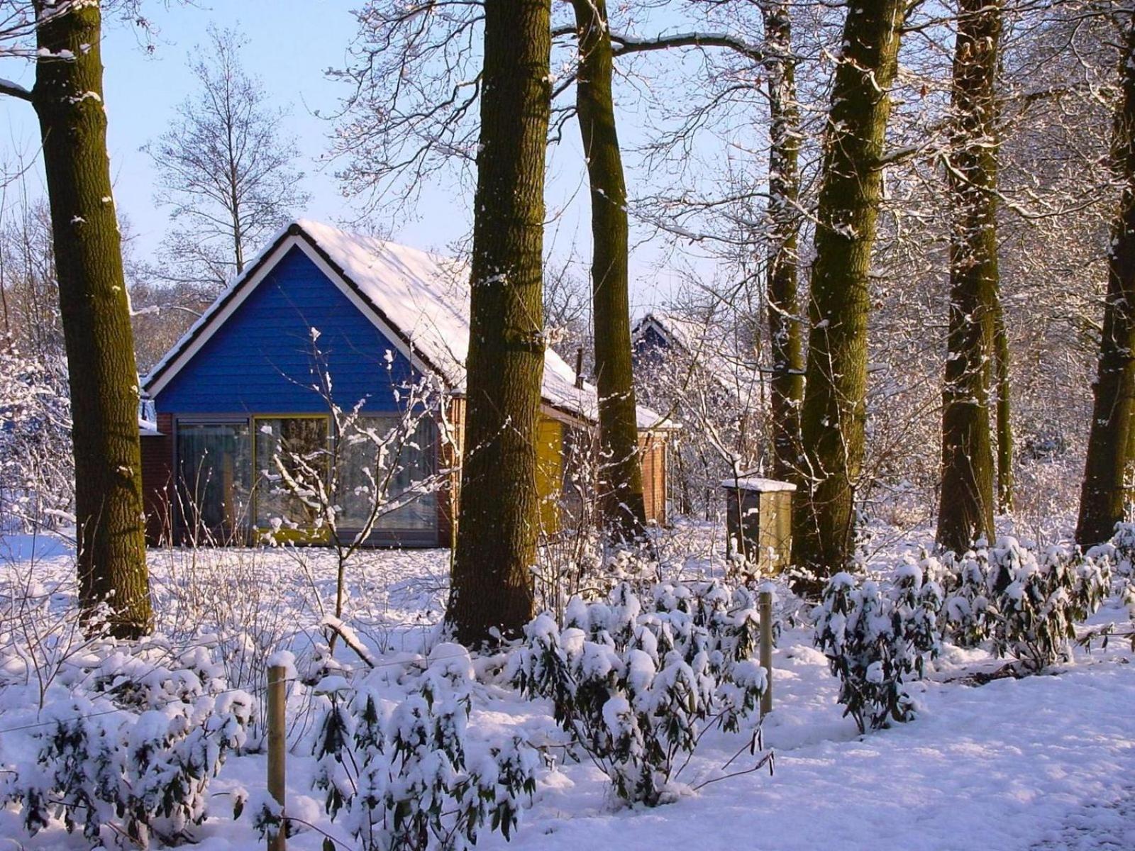 Vakantiepark Sallandshoeve Nieuw-Heeten Exterior foto